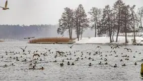Zimowa szarówka w Rucianem-Nidzie - zdjęcie 5