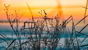 Zimowy wschód słońca nad jeziorem Dargin i... -27 stopni - zdjęcie 4