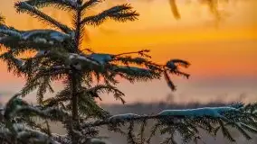 Zimowy wschód słońca nad jeziorem Dargin i... -27 stopni - zdjęcie 57