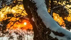 Zachód słońca nad jeziorem Święcajty, Cmentarz wojenny Jagerhohe - zdjęcie 52