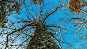 Zachód słońca nad jeziorem Święcajty, Cmentarz wojenny Jagerhohe - zdjęcie 38