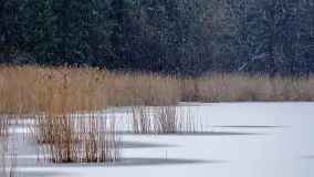 Mazurskie zwierzęta i pełnia zimy na zdjęciach Jana Olchówki - zdjęcie 10