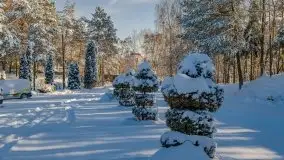 Zimowa i bajkowa sceneria w hotelu Tajty nad j. Tajty - zdjęcie 4