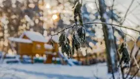 Zimowa i bajkowa sceneria w hotelu Tajty nad j. Tajty - zdjęcie 35