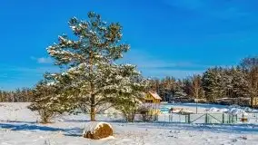 Zimowy Dargin i port Nowy Harsz - zdjęcie 41