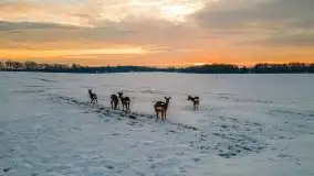 Wschód słońca w okolicach Sztynortu, zima 2021 - zdjęcie 15