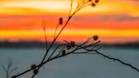 Wschód słońca w okolicach Sztynortu, zima 2021 - zdjęcie 14