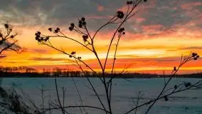 Wschód słońca w okolicach Sztynortu, zima 2021 - zdjęcie 2