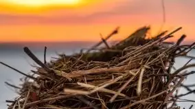 Wschód słońca w okolicach Sztynortu, zima 2021 - zdjęcie 22