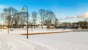 Port w Sztynorcie w zimowej scenerii, styczeń 2021 r. - zdjęcie 13