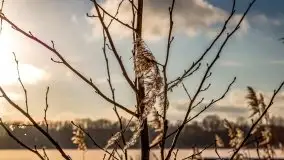 Port w Sztynorcie w zimowej scenerii, styczeń 2021 r. - zdjęcie 34
