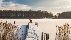 Port w Sztynorcie w zimowej scenerii, styczeń 2021 r. - zdjęcie 67