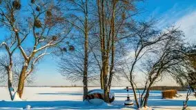 Zima w porcie AZS, jezioro Niegocin, 2021 r. - zdjęcie 26