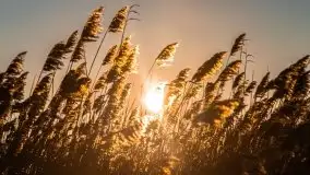 Bojery na jeziorze Dargin 2021 cz. 2 - zdjęcie 16