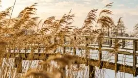 Zimowe Wydminy przed zachodem słońca, styczeń 2021 r. - zdjęcie 4