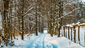 Zimowe Wydminy przed zachodem słońca, styczeń 2021 r. - zdjęcie 22