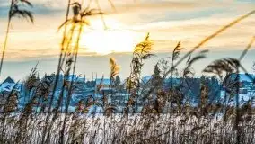 Zimowe Wydminy przed zachodem słońca, styczeń 2021 r. - zdjęcie 32