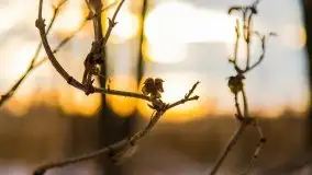 Zachód słońca w okolicach zimowych Kruklanek - zdjęcie 48