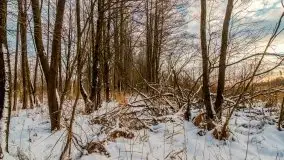 Zachód słońca w okolicach zimowych Kruklanek - zdjęcie 28