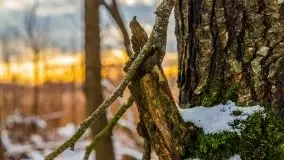 Zachód słońca w okolicach zimowych Kruklanek - zdjęcie 22