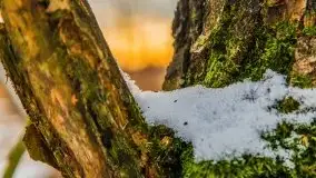 Zachód słońca w okolicach zimowych Kruklanek - zdjęcie 26