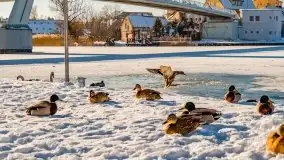 Mikołajki w zimowej scenerii, luty 2021 r. - zdjęcie 65