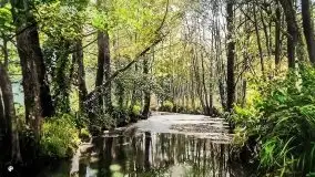 Przedwojenne pokolorowane zdjęcia Kętrzyna (Rastenburg) - zdjęcie 9