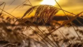 Zachód słońca Pierkunowo i okolice, luty 2021 - zdjęcie 38