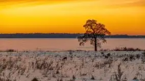 Zachód słońca Pierkunowo i okolice, luty 2021 - zdjęcie 64