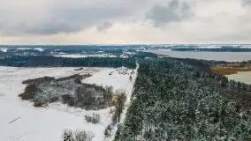 Okolice Kleszczewa w zimowej scenerii, styczeń 2021 - zdjęcie 24