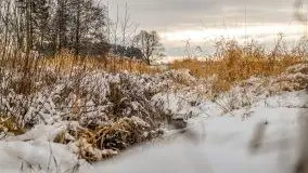 Okolice Kleszczewa w zimowej scenerii, styczeń 2021 - zdjęcie 8