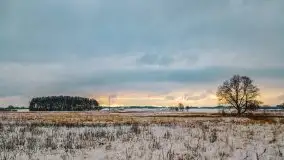 Okolice Kleszczewa w zimowej scenerii, styczeń 2021 - zdjęcie 40