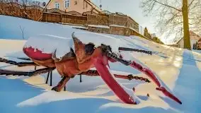 Stare Juchy w zimowej aurze, luty 2021 r. - zdjęcie 52