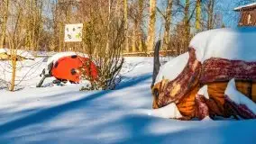 Stare Juchy w zimowej aurze, luty 2021 r. - zdjęcie 23