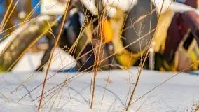 Stare Juchy w zimowej aurze, luty 2021 r. - zdjęcie 22