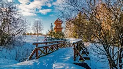 Stare Juchy w zimowej aurze, luty 2021 r.