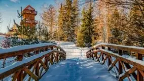 Stare Juchy w zimowej aurze, luty 2021 r. - zdjęcie 44