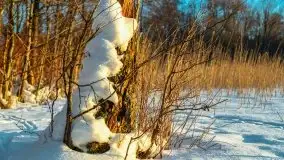 Zachód słońca nad jeziorem Siercze, luty 2021  - zdjęcie 17