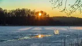 Zachód słońca nad jeziorem Siercze, luty 2021  - zdjęcie 2