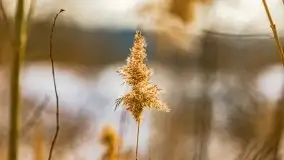 Śluza w Leśniewie Górnym w zimowej szacie, luty 2021 - zdjęcie 29