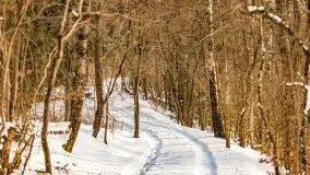 Śluza w Leśniewie Górnym w zimowej szacie, luty 2021 - zdjęcie 24