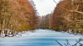 Śluza w Leśniewie Górnym w zimowej szacie, luty 2021 - zdjęcie 33