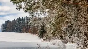 Jezioro Ślepieniec skąpane w zimowej bieli, luty 2021 - zdjęcie 4