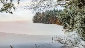 Jezioro Ślepieniec skąpane w zimowej bieli, luty 2021 - zdjęcie 8