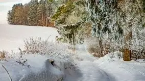 Jezioro Ślepieniec skąpane w zimowej bieli, luty 2021 - zdjęcie 43