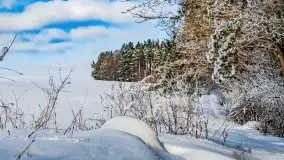 Jezioro Ślepieniec skąpane w zimowej bieli, luty 2021 - zdjęcie 38