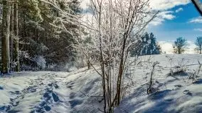 Jezioro Ślepieniec skąpane w zimowej bieli, luty 2021 - zdjęcie 14