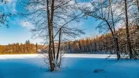 Jezioro Ślepieniec skąpane w zimowej bieli, luty 2021 - zdjęcie 16