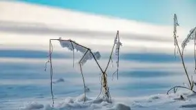 Jezioro Ślepieniec skąpane w zimowej bieli, luty 2021 - zdjęcie 40