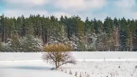 Jezioro Ślepieniec skąpane w zimowej bieli, luty 2021 - zdjęcie 55